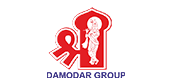 Damodar Industries logo